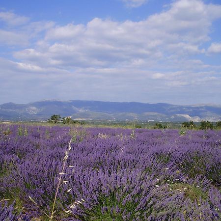 Hotel Du Moulin Allemagne-en-Provence Dış mekan fotoğraf